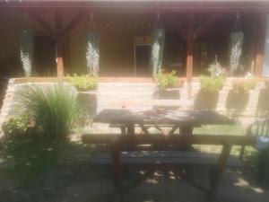 Jardín al aire libre en CycloCamp & Hostel