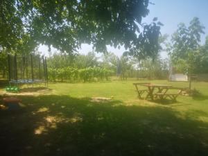Jardín al aire libre en CycloCamp & Hostel
