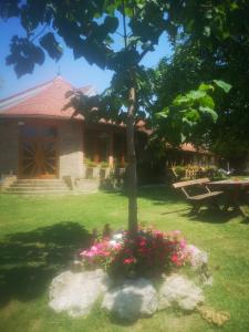 Jardín al aire libre en CycloCamp & Hostel