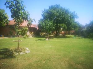 Jardín al aire libre en CycloCamp & Hostel