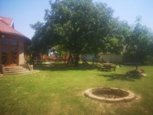 Jardín al aire libre en CycloCamp & Hostel