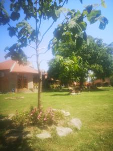 Jardín al aire libre en CycloCamp & Hostel