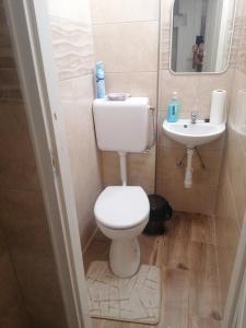 Un baño pequeño con inodoro y lavabo. en Dékány vendégház, en Mezőhegyes 19 fotos más