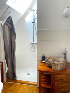 a bathroom with a shower and a stone sink at Les Gîtes de Guernegroach - La Chaumière in Langoëlan