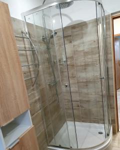 a shower with a glass enclosure in a bathroom at Apartment Sidro in Posedarje +24 photos