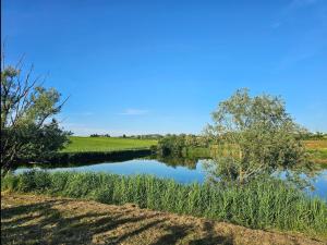 a river in the middle of a field with trees at Apartma Bertoki in Koper