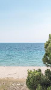 Gallery image of Beach Front Villa Toroni in Toroni