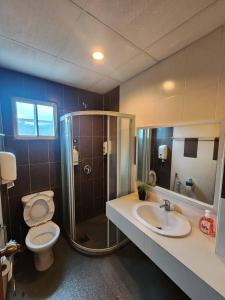 a bathroom with a toilet and a shower and a sink at Iris Bougainvillea Cameron's in Tanah Rata +14 photos