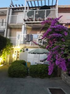 Κήπος έξω από το Apartments studio Vukman Novalja