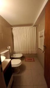 une salle de bain avec toilettes, lavabo et douche dans l'établissement Los Amancay del Centro, à San Carlos de Bariloche