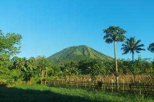 a palm tree in front of a mountain at Villa Lokon Tomohon in Tomohon