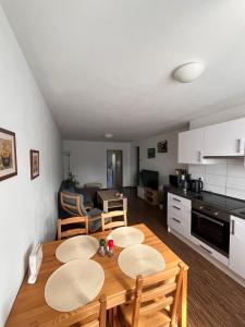 Kuchyň nebo kuchyňský kout v ubytování Apartmán Sadová 430
