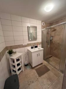 Koupelna v ubytování Apartmán Sadová 430