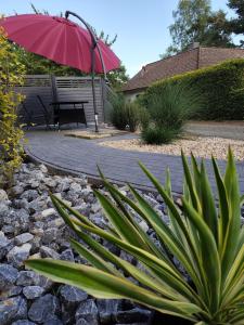 Ein Garten an der Unterkunft Ferienwohnungen Auetal