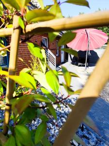 Ein Garten an der Unterkunft Ferienwohnungen Auetal
