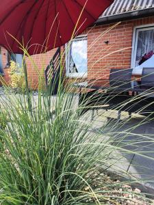 Ein Garten an der Unterkunft Ferienwohnungen Auetal