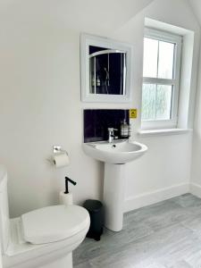 a white bathroom with a toilet and a sink at Edinburgh full house in Edinburgh +47 photos