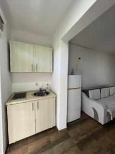 Η κουζίνα ή μικρή κουζίνα στο Apartmani ZMS