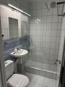 a bathroom with a shower and a toilet and a sink at Costa Mielno in Mielno