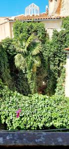 a wall covered in green plants and a tree at Appartement plein centre-ville in Lodève