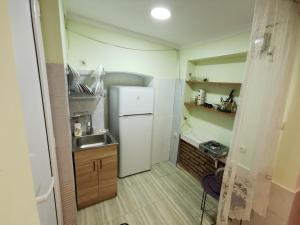 a small kitchen with a refrigerator and a sink at Guest House Natia in Tbilisi City