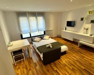 萨拉戈萨Suite Anna的卧室里有一张床和一台电视机