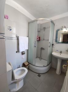 ein Badezimmer mit Dusche, Toilette und Waschbecken in der Unterkunft Cozy Room in the Old Town in Gjirokastër