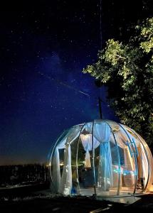 Buby - végtelenbe és tovább 7900 Szigetvár, Papagáj dűlő 4. kép - 2