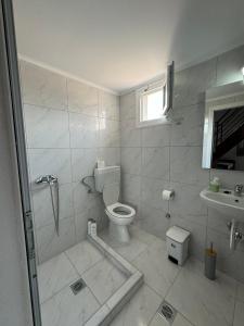 a bathroom with a shower and a toilet and a sink at Imeros house in Ímeros +11 photos