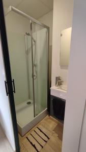 a bathroom with a glass shower and a sink at Studio Chambre double RDC in Chazelles-sur-Lyon