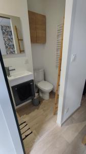 a bathroom with a toilet and a sink and a mirror at Studio Chambre double RDC in Chazelles-sur-Lyon +3 photos