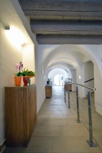um corredor num edifício com um arco em Appartement-Hotel GH Zum Goldenen Schiff em Enns