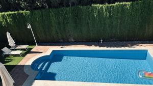 une piscine bleue en face d'une haie dans l'établissement Extraordinaria Villa con piscina y chimenea, à Grenade 102 autres photos