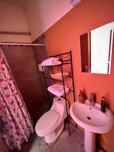 a bathroom with a pink toilet and a sink at Casa Villa Antigua in Montemorelos