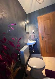 un bagno con un water e un lavandino di Lene's Flat a Kitzbühel Altre 10 foto