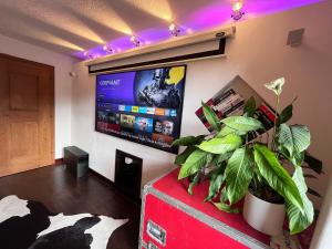 Lene's Flat TV 또는 엔터테인먼트 센터