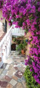 Fotografia z galérie ubytovania Cortijo de las flores Cazorla v destinácii La Iruela