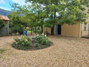 a yard with a tree and flowers in front of a house at Pecan Grove in Somerset East