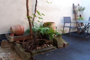 Fotografie z fotogalerie ubytování Gîte le Chaudron v destinaci Pfaffenheim