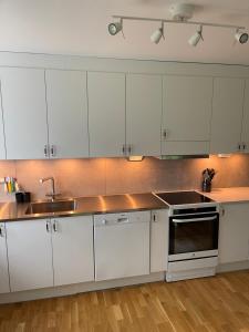 Kuchyň nebo kuchyňský kout v ubytování Skirsnäs gård + 31 fotografií
