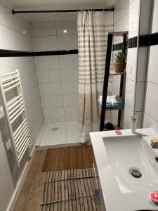 a bathroom with a shower and a white sink at Cosy Duplex proche Paris in Épinay-sur-Seine