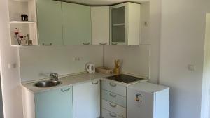 a small kitchen with white cabinets and a sink at Semper Liberi in Maribor