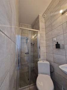 a bathroom with a shower and a toilet and a sink at Noclegi nad Wodą in Brzeźnica +12 photos