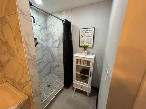 a bathroom with a walk in shower next to a glass door at 3 bed 3 bath home Dtown Gainesville in Gainesville
