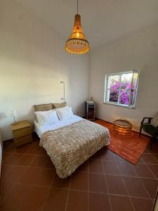 a bedroom with a bed and a chandelier at Villa 46 Hostel in Lagos +25 photos