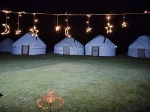 Fotografie z fotogalerie ubytování Zalkar Yurt Camp v destinaci Song-Kul