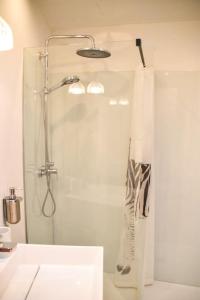 a bathroom with a shower with a shower curtain at La Petite Maison in Tournai