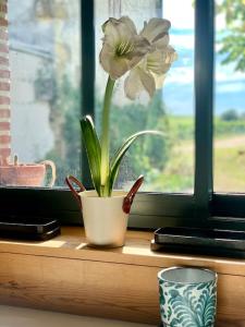 Gallery image of Villa vignoble Sauternes et spa in Sauternes