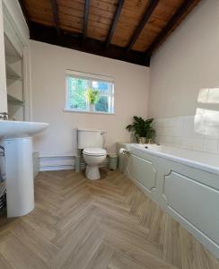 a bathroom with a toilet and a tub and a sink at Plasbach Cottage in Llandeilo