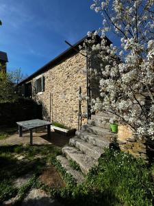a stone building with a picnic table and a tree at nature Aubrac in Les Salces
